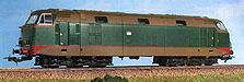 acme60061 copy.jpg